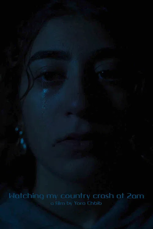 Watching my country crash at 2am poster