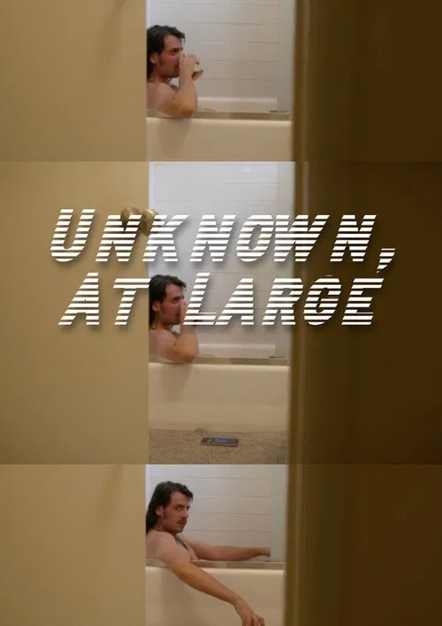 Unknown, At Large poster