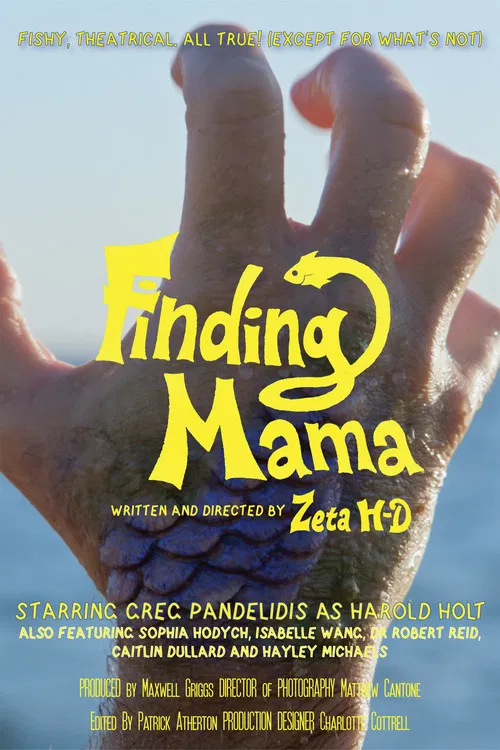 Finding Mama poster