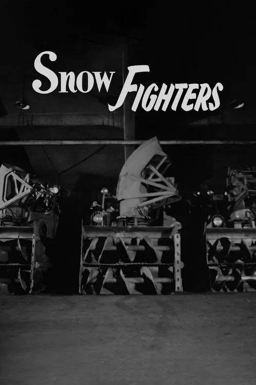 Snow Fighters poster