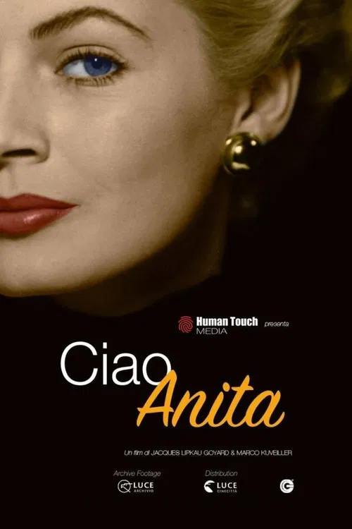 Ciao Anita poster
