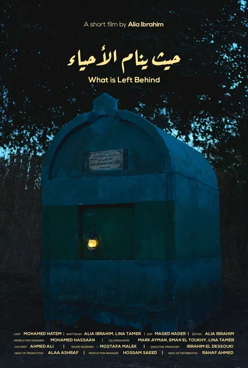 What is Left Behind poster