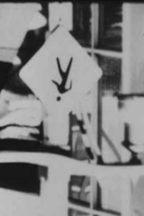 Seven Windsor Films poster