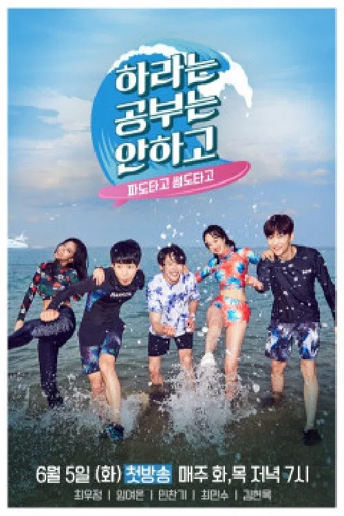 SURF 101: Intro to Romance poster