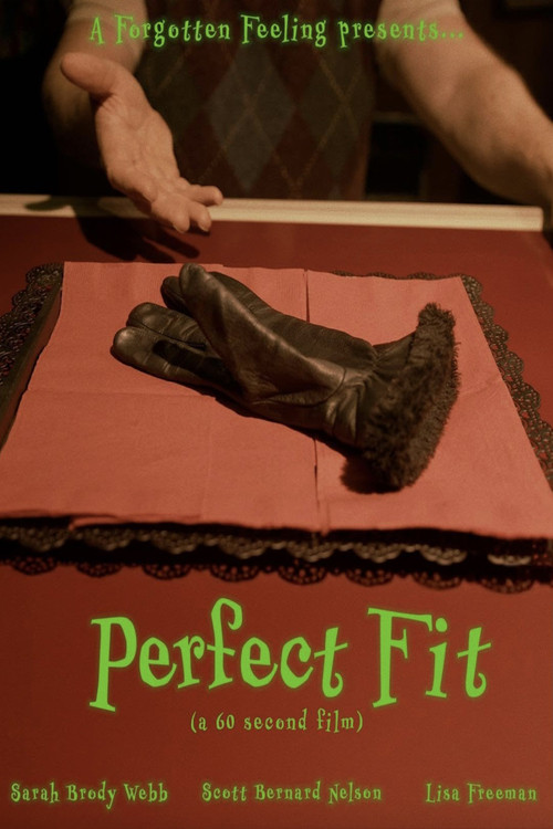 Perfect Fit poster