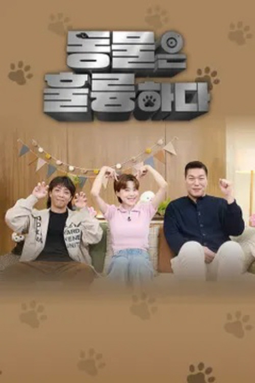 동물은 훌륭하다 poster