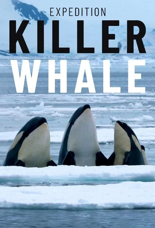 Expedition Killer Whale poster
