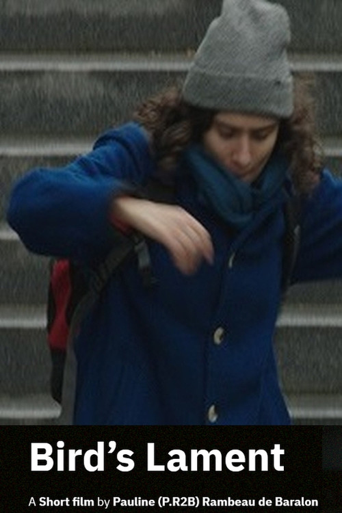 Bird's Lament poster