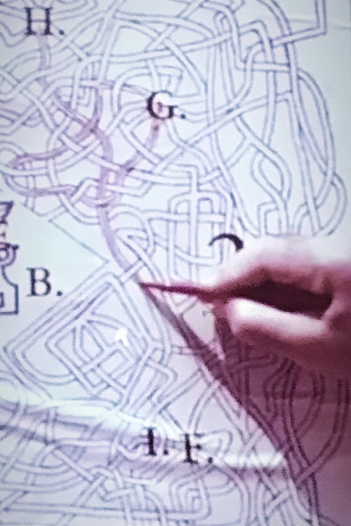 The Pink Biennal poster