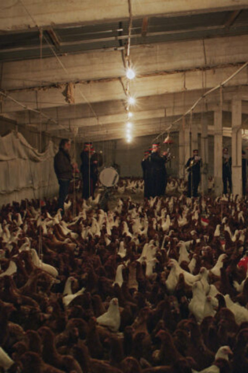 If I Ever Get A Monument Chickens Will Do It For Me (Requiem#3) poster