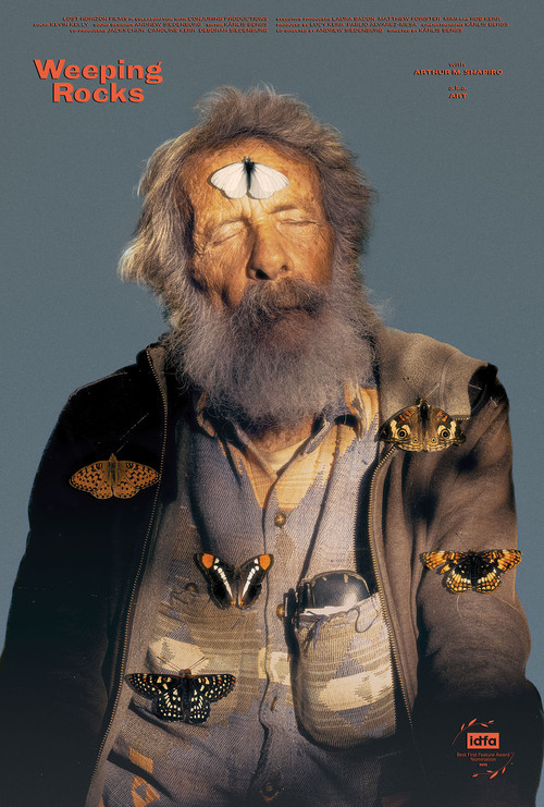 Weeping Rocks poster