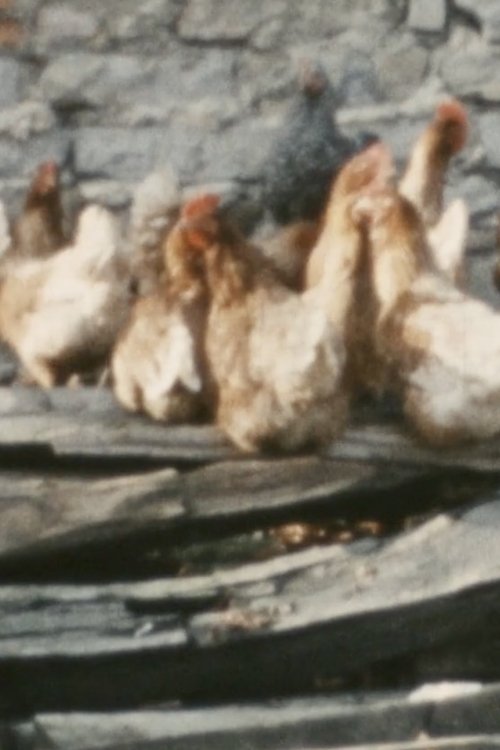 Oh Tod, wie nahrhaft bist Du poster