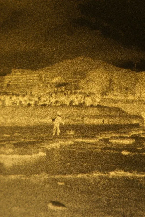 Out Town Willow poster