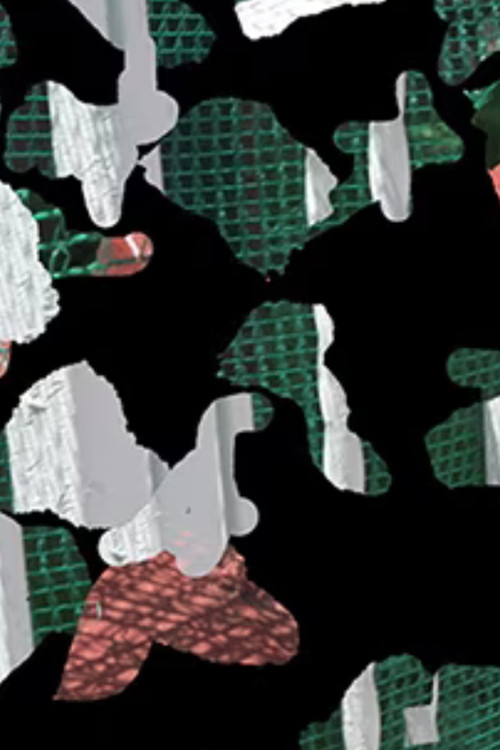 Ornithology 6 poster