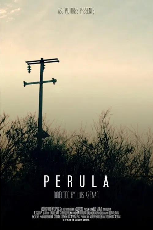Perula poster