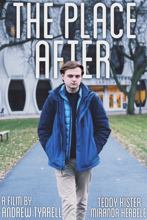 The Place After poster