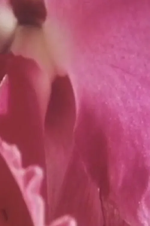 Something Within Me poster