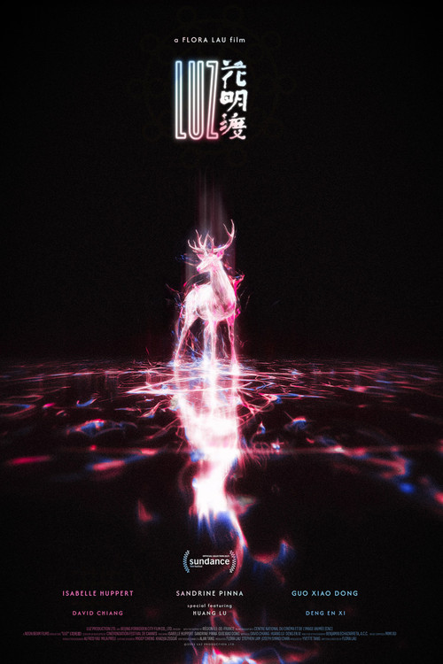 Luz poster
