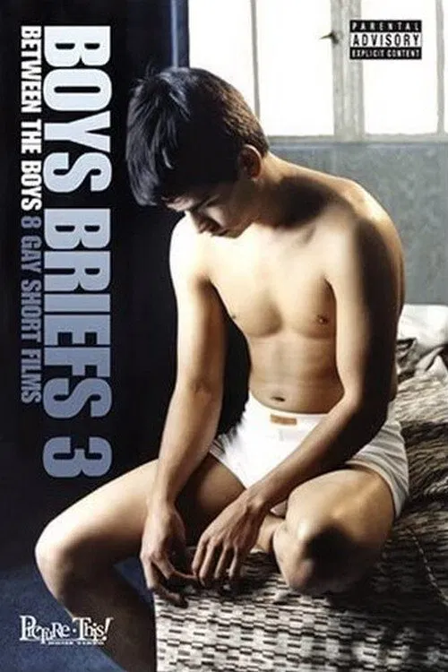 Boys Briefs 3: Between the Boys poster