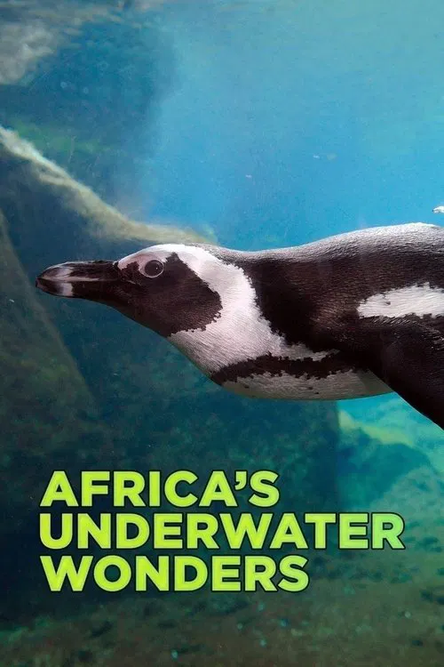 Africa's Underwater Wonders poster