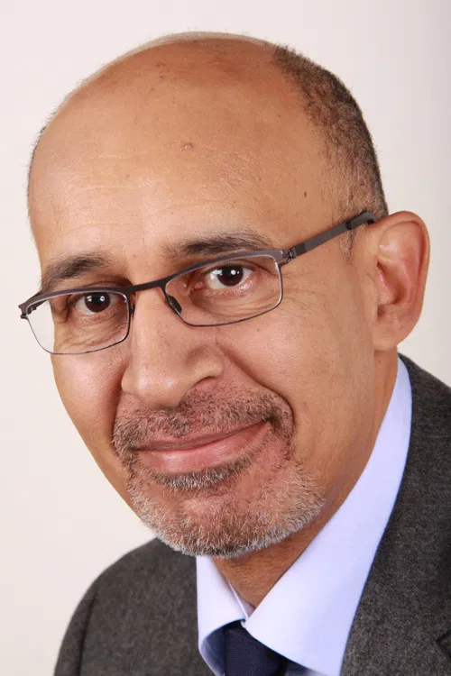 Harlem Désir profile