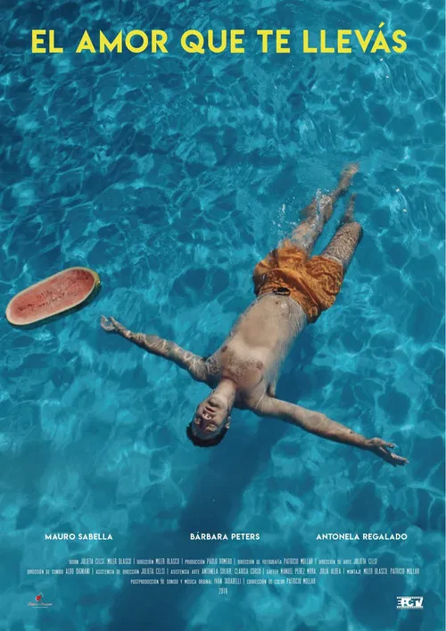 The Love You Take poster