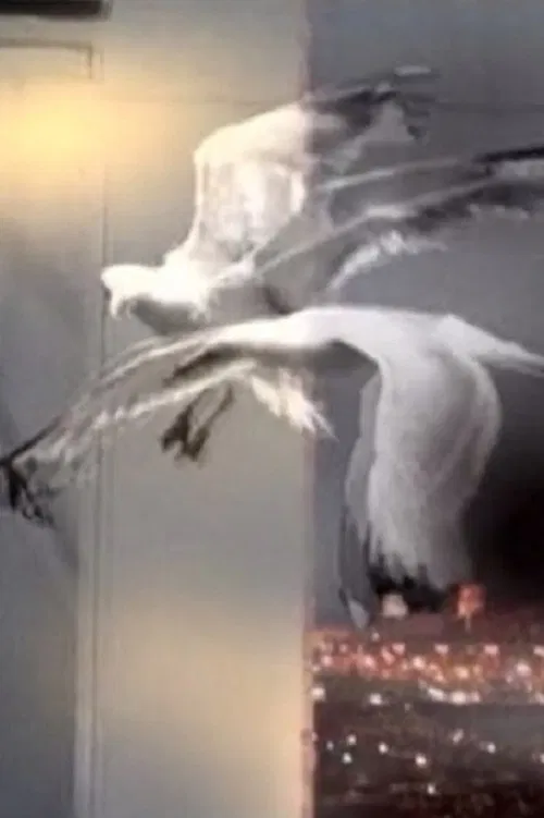 Entrer Dans Le Rêve poster