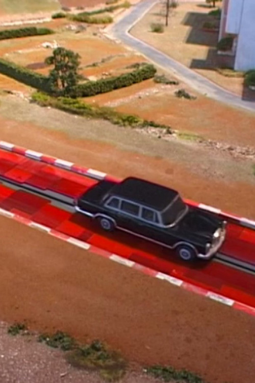 A Guide to Trees for Governors and Gardeners poster