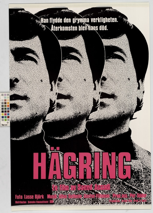 Hägring poster
