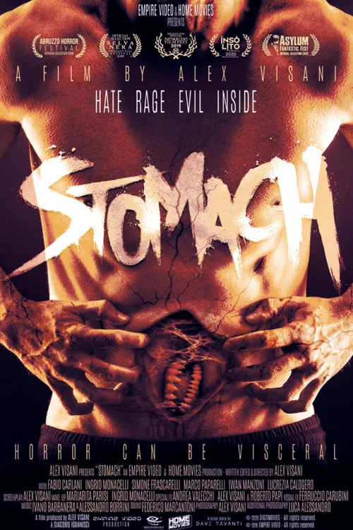 Stomach poster