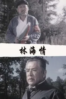 林海情 poster