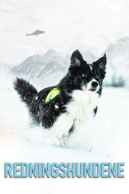 Redningshundene poster