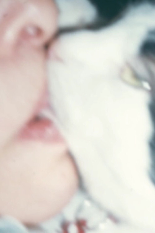 Mysteries of the Pussies poster