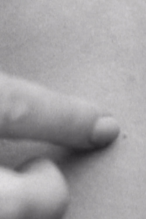 Exits and Entries poster