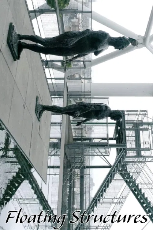 Floating Structures poster