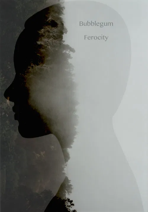 Bubblegum Ferocity poster