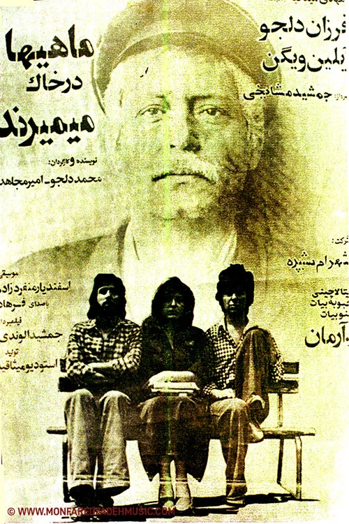 Fish Die in Soil poster