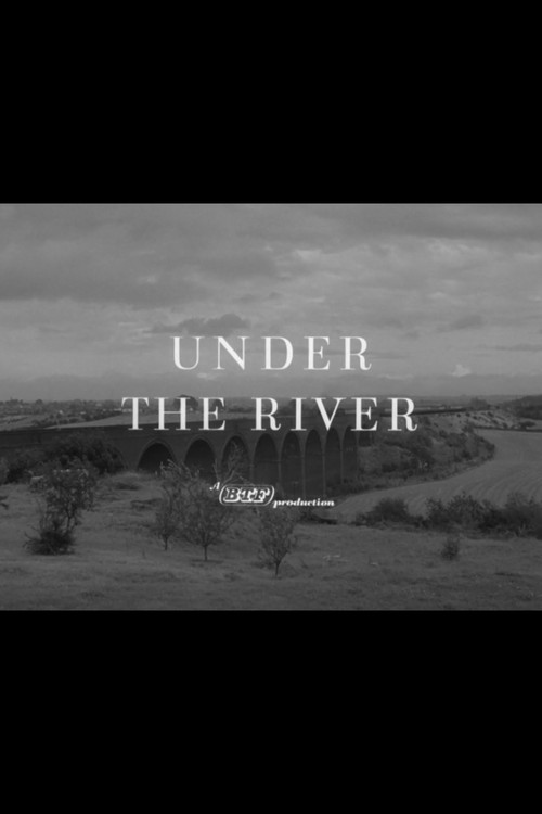 Under the River poster