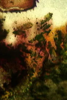 Jours en fleurs poster