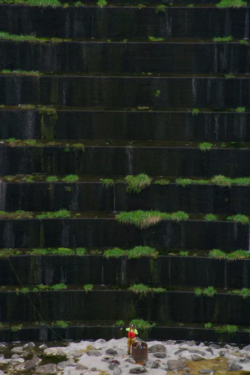 Murderers Bar poster