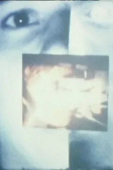 The Screen, Just the Screen poster