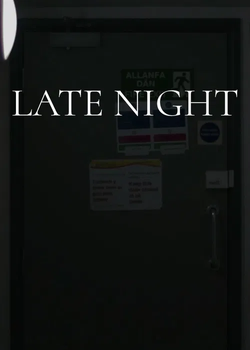 Late Night poster