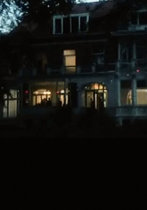 In Passing - The Party poster