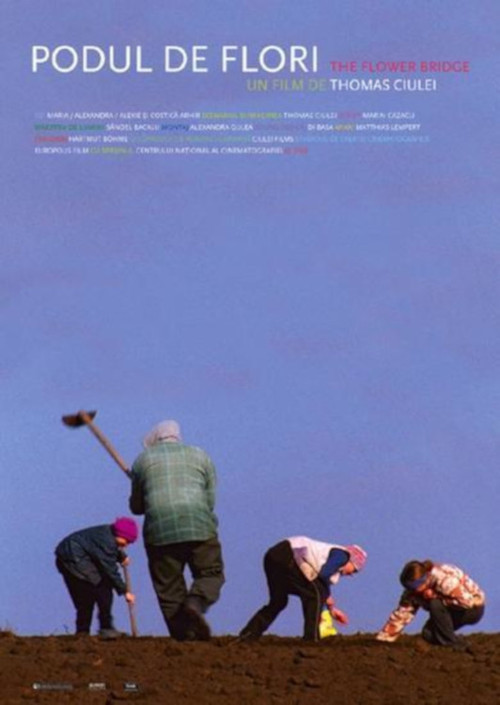 The Flower Bridge poster