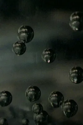 The Salariat in Parts poster