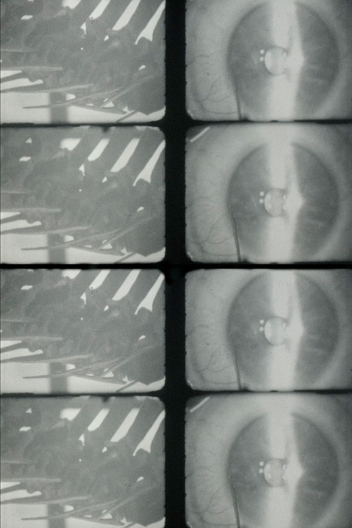 It's under the flesh where you are tender poster