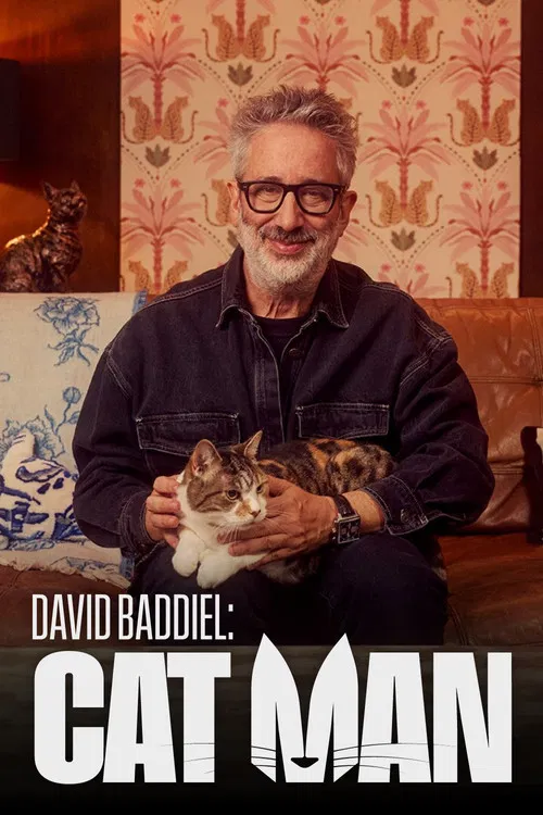 David Baddiel: Cat Man poster