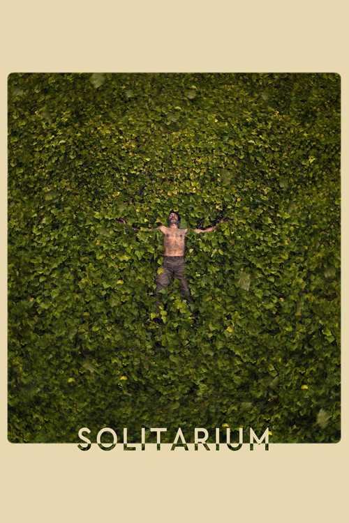 Solitarium poster