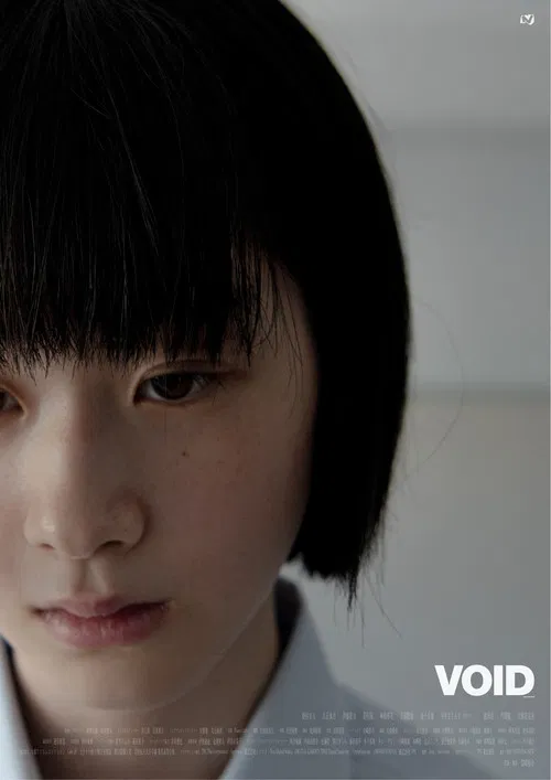 Void poster