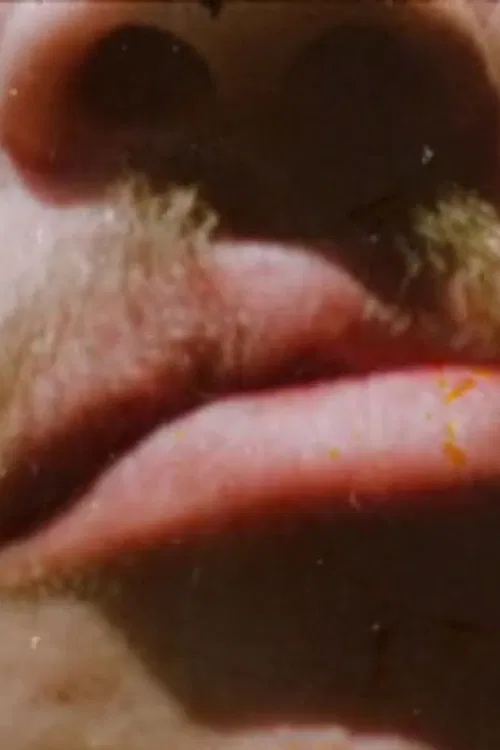 Invocations of Canyons and Boulders (for Stan Brakhage) poster